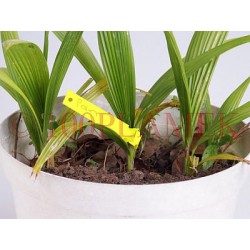Etykiety wiązane żółte 220x12,6mm do oznaczania roślin - TYVEK