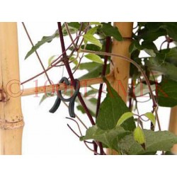 Klipsy, spinki pierścieniowe do mocowania pędów roślin - R16