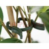 Klipsy, spinki pierścieniowe do mocowania pędów roślin - R20
