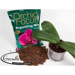 Gotowe beztorfowe podłoże do storczyków orchidei - 3 litry - GROWTH TECHNOLOGY