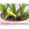 Etykiety wiązane ŻÓŁTE 160x13x0,2mm oznaczanie roślin - PVC