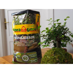 Specjalistyczne podłoże do drzewek bonsai - 5litrów - Floragard