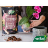 Podłoże beztorfowe PREMIUM do storczyków orchidei z granulami SERAMIS 4L - WESTLAND